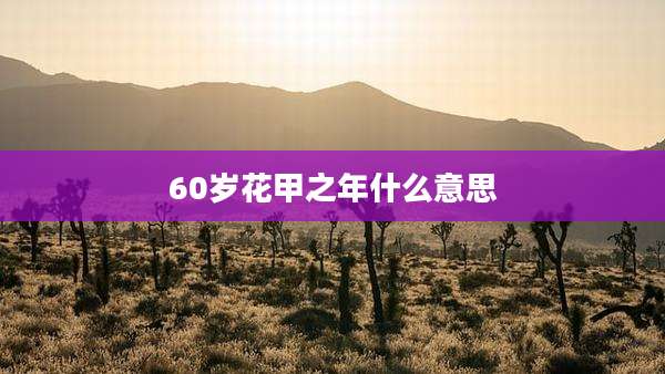 60岁花甲之年什么意思