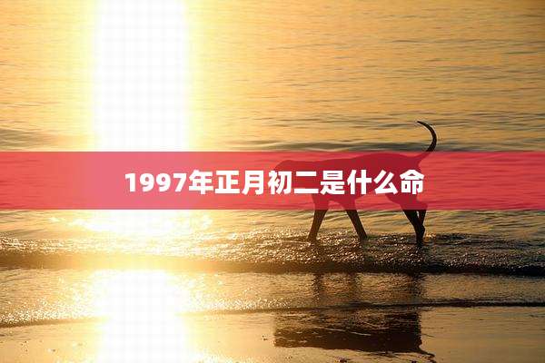 1997年正月初二是什么命