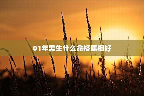 01年男生什么命格属相好