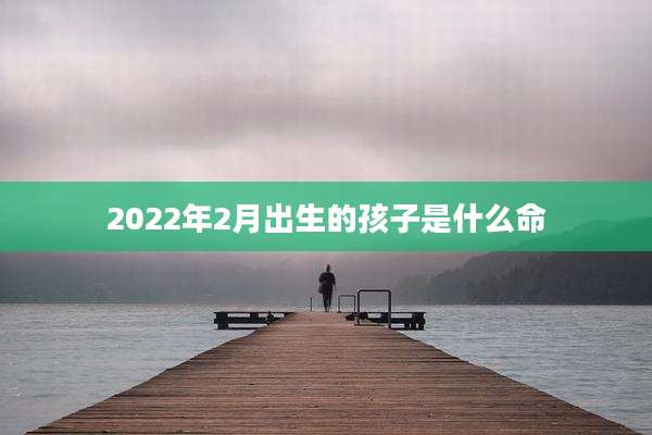 2022年2月出生的孩子是什么命