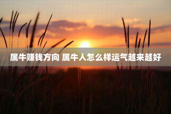属牛赚钱方向 属牛人怎么样运气越来越好