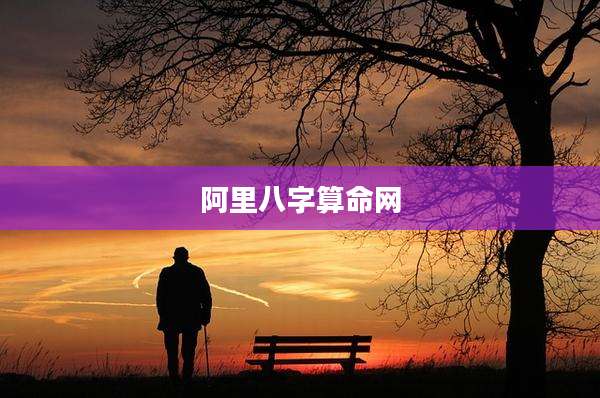 阿里八字算命网