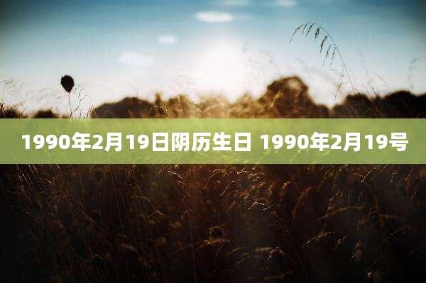 1990年2月19日阴历生日 1990年2月19号