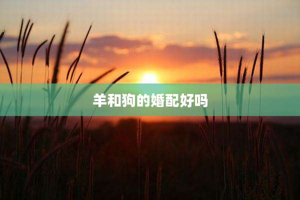 羊和狗的婚配好吗