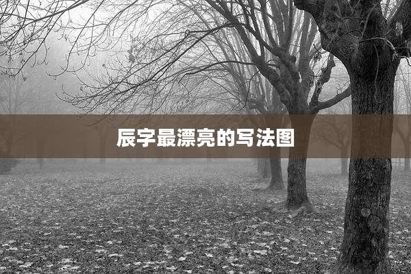 辰字最漂亮的写法图