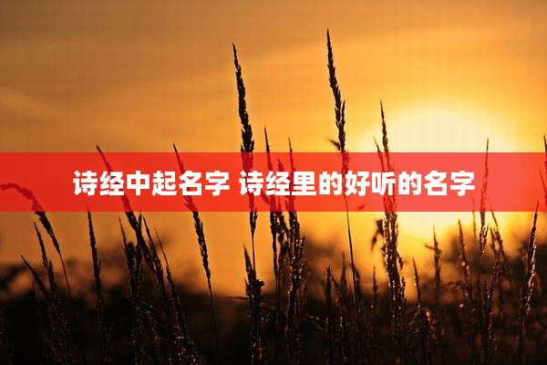 诗经中起名字 诗经里的好听的名字