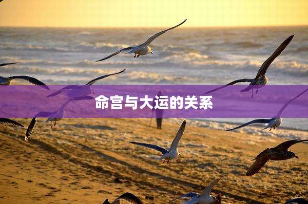 命宫与大运的关系