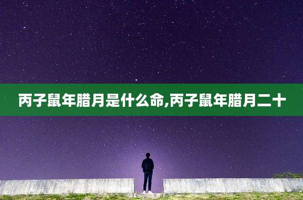 丙子鼠年腊月是什么命,丙子鼠年腊月二十