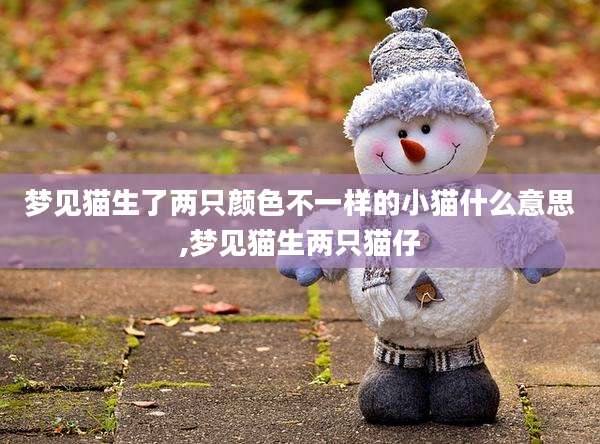梦见猫生了两只颜色不一样的小猫什么意思,梦见猫生两只猫仔