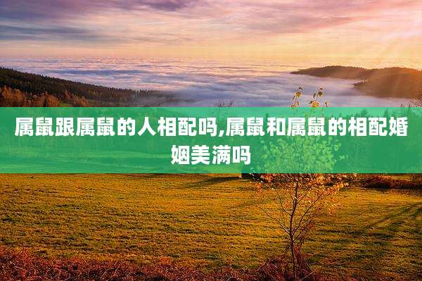 属鼠跟属鼠的人相配吗,属鼠和属鼠的相配婚姻美满吗