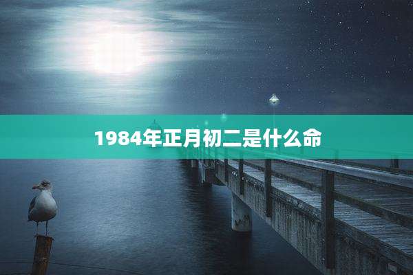1984年正月初二是什么命
