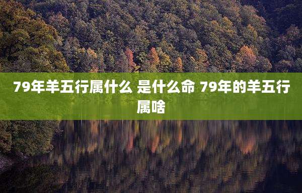 79年羊五行属什么 是什么命 79年的羊五行属啥