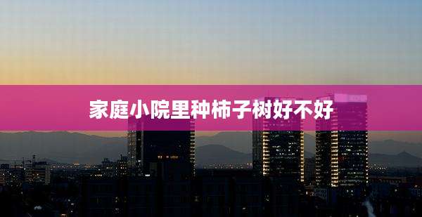 家庭小院里种柿子树好不好