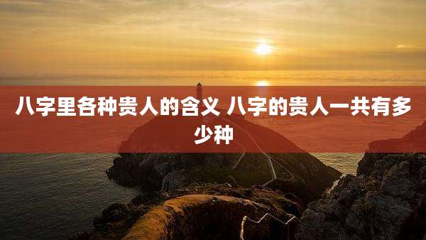 八字里各种贵人的含义 八字的贵人一共有多少种