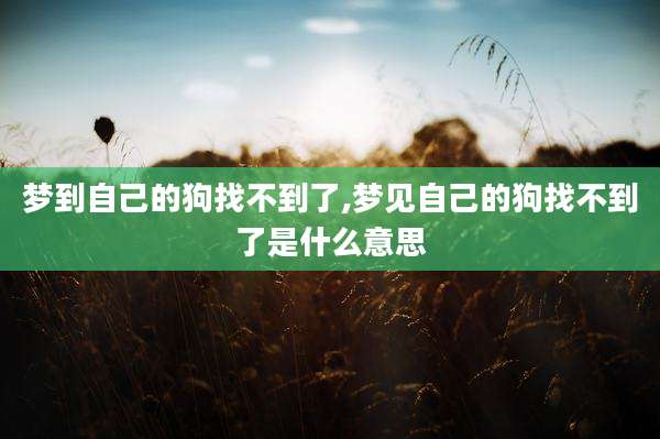 梦到自己的狗找不到了,梦见自己的狗找不到了是什么意思