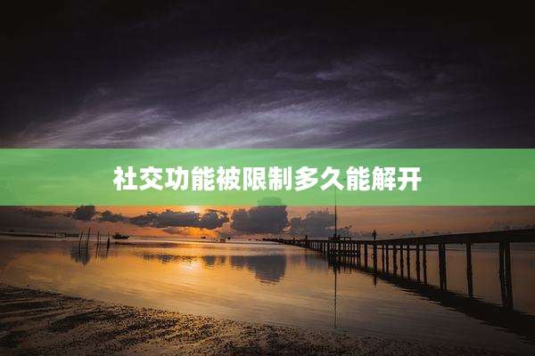 社交功能被限制多久能解开