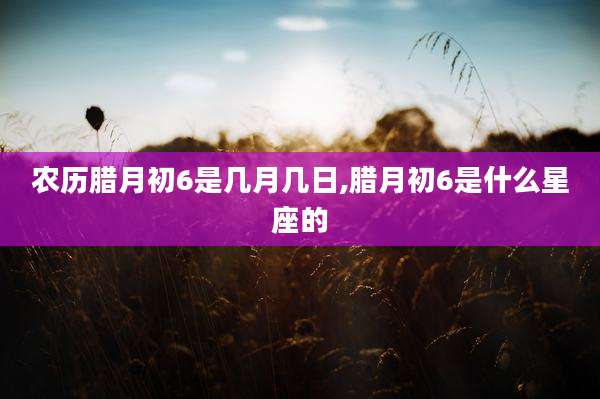 农历腊月初6是几月几日,腊月初6是什么星座的