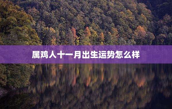 属鸡人十一月出生运势怎么样