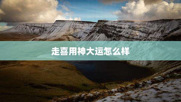 走喜用神大运怎么样