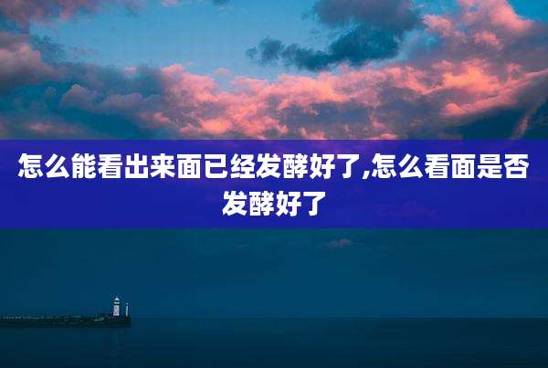 怎么能看出来面已经发酵好了,怎么看面是否发酵好了