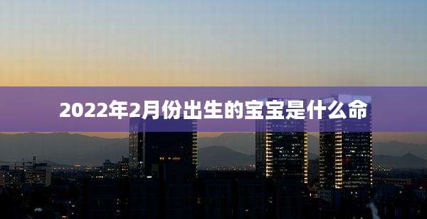 2022年2月份出生的宝宝是什么命