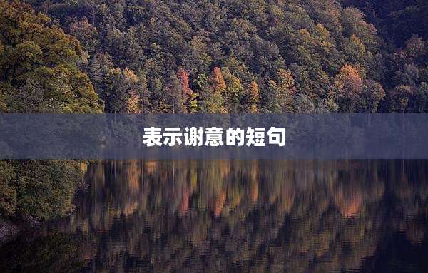 表示谢意的短句