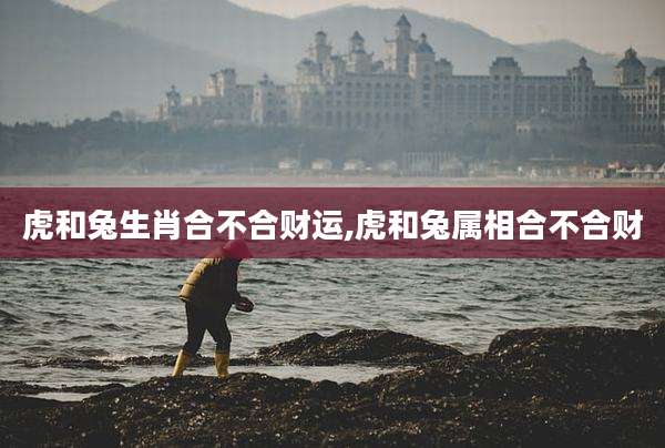 虎和兔生肖合不合财运,虎和兔属相合不合财