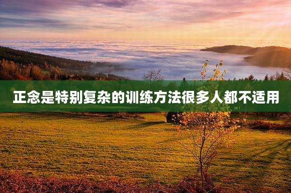 正念是特别复杂的训练方法很多人都不适用