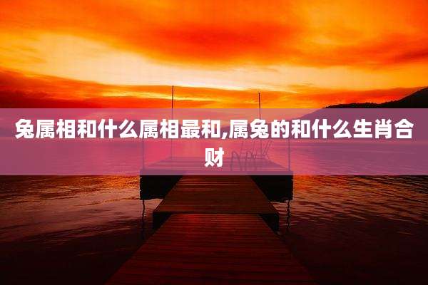 兔属相和什么属相最和,属兔的和什么生肖合财