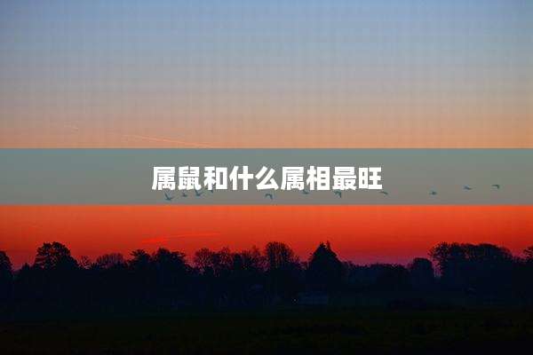 属鼠和什么属相最旺