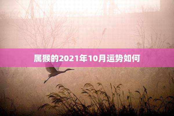 属猴的2021年10月运势如何