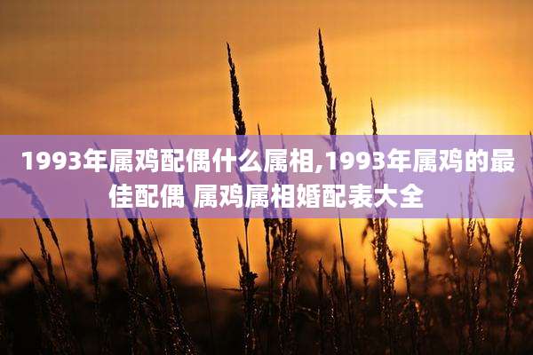1993年属鸡配偶什么属相,1993年属鸡的最佳配偶 属鸡属相婚配表大全