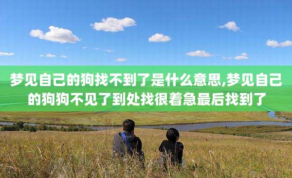 梦见自己的狗找不到了是什么意思,梦见自己的狗狗不见了到处找很着急最后找到了