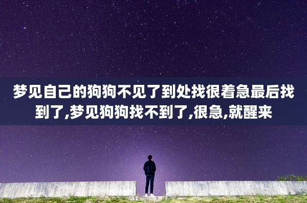 梦见自己的狗狗不见了到处找很着急最后找到了,梦见狗狗找不到了,很急,就醒来