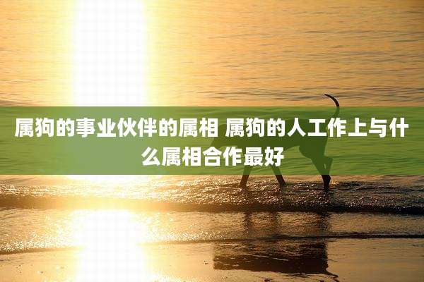属狗的事业伙伴的属相 属狗的人工作上与什么属相合作最好