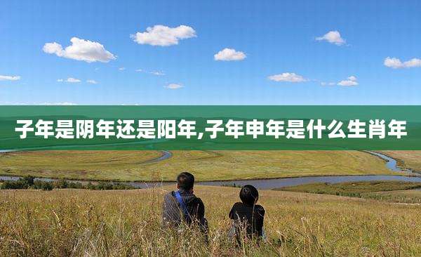 子年是阴年还是阳年,子年申年是什么生肖年