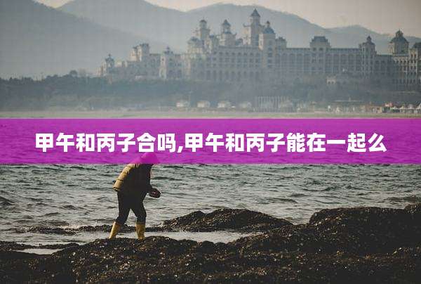 甲午和丙子合吗,甲午和丙子能在一起么