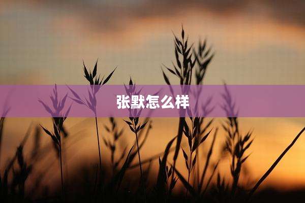 张默怎么样