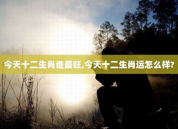 今天十二生肖谁最旺,今天十二生肖运怎么样?