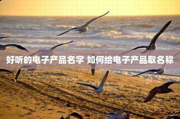 好听的电子产品名字 如何给电子产品取名称