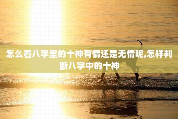 怎么看八字里的十神有情还是无情呢,怎样判断八字中的十神