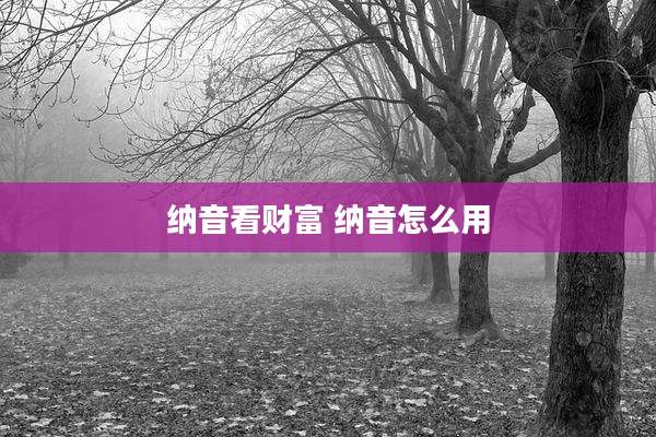 纳音看财富 纳音怎么用