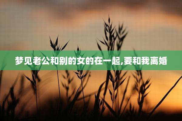 梦见老公和别的女的在一起,要和我离婚