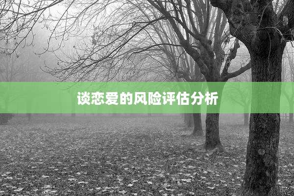 谈恋爱的风险评估分析