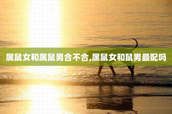 属鼠女和属鼠男合不合,属鼠女和鼠男最配吗