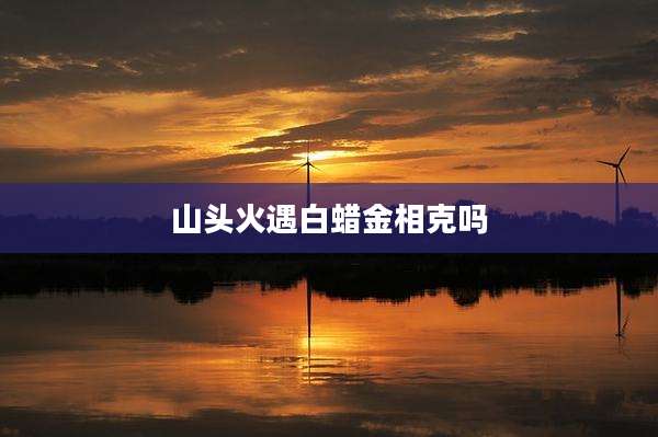 山头火遇白蜡金相克吗