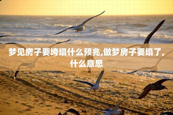 梦见房子要垮塌什么预兆,做梦房子要塌了,什么意思