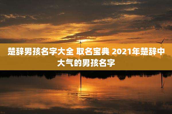 楚辞男孩名字大全 取名宝典 2021年楚辞中大气的男孩名字