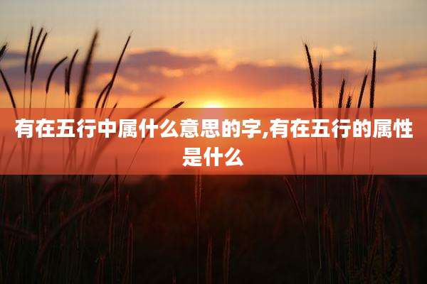 有在五行中属什么意思的字,有在五行的属性是什么