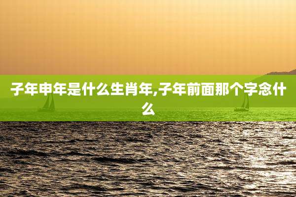 子年申年是什么生肖年,子年前面那个字念什么